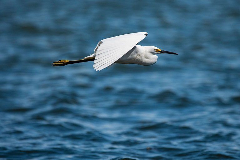 Twinhouse con piscina • 3 min de Playa Pradera