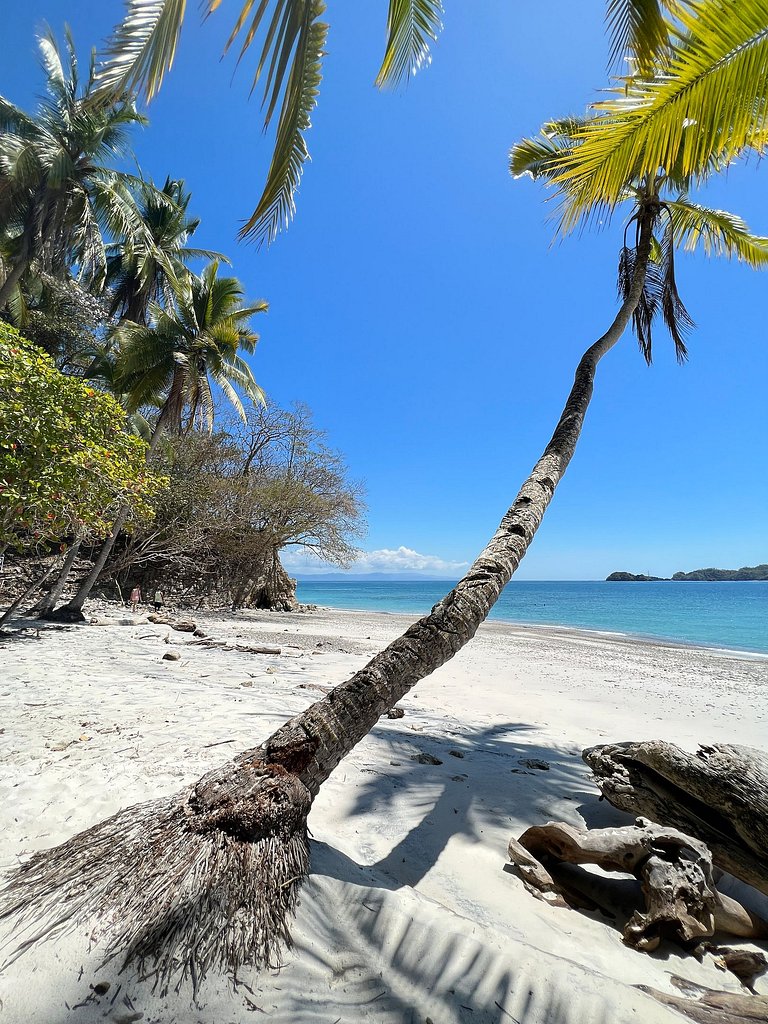 Villa Las Palmeras with spectacular views